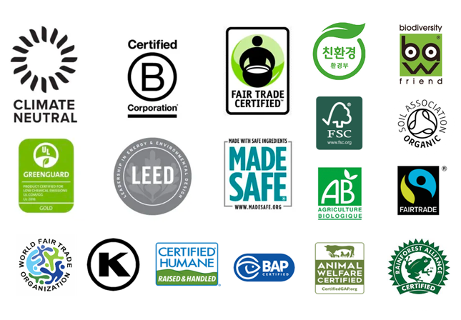 ESG Certifications and Data Management: A Comprehensive Guide